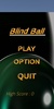 Blind Ball screenshot 5