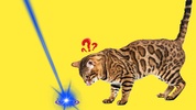 Laser for cat. Cat games. Joke screenshot 4