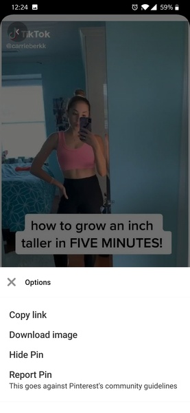 Pinterest Downloader - Preview 15