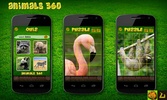 Animals 360 screenshot 2