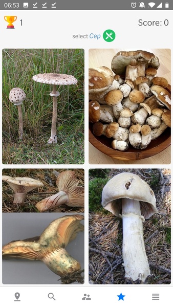 Mushroom Identificator - Preview 11