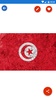 Tunisia Flag Wallpaper: Flags, screenshot 4