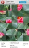 PhotoPuzzle - Flowers free screenshot 1
