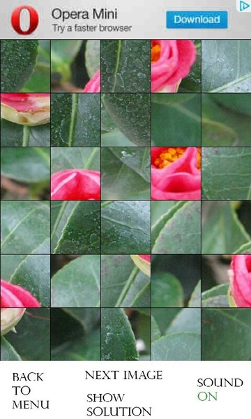 PhotoPuzzle - Flowers free - Preview 1
