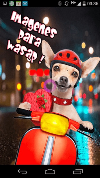 Imagenes Wasap - Preview 8