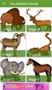 Fun Animals Coloring screenshot 2