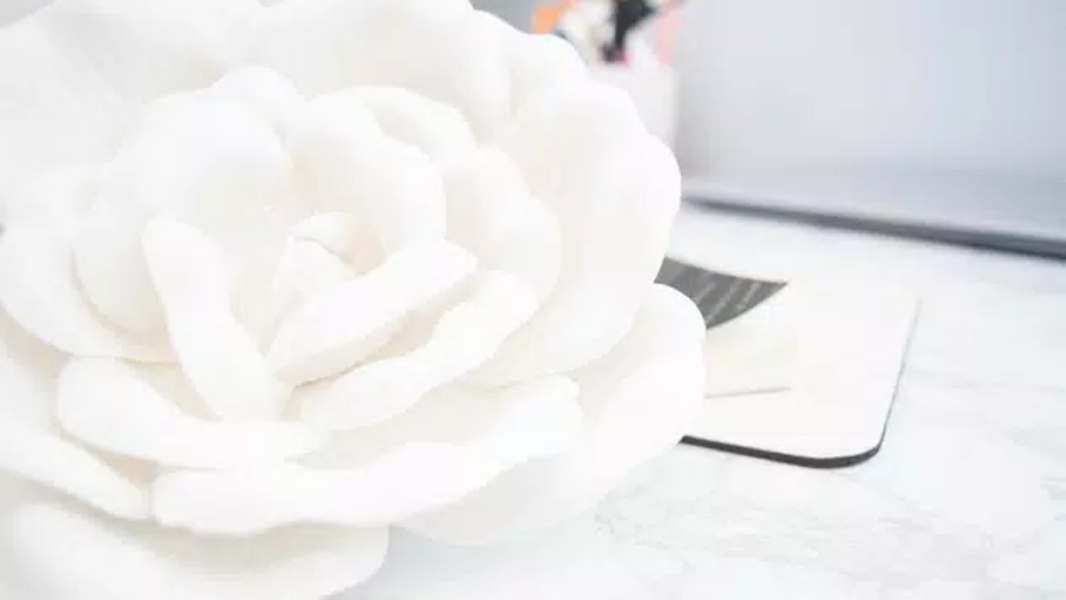 White Wallpapers - Preview 3