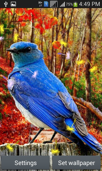 Singing Birds LWP - Preview 3