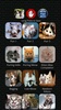개 및 고양이 벨소리 및 소리 screenshot 4