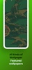 Sage green wallpaper screenshot 2