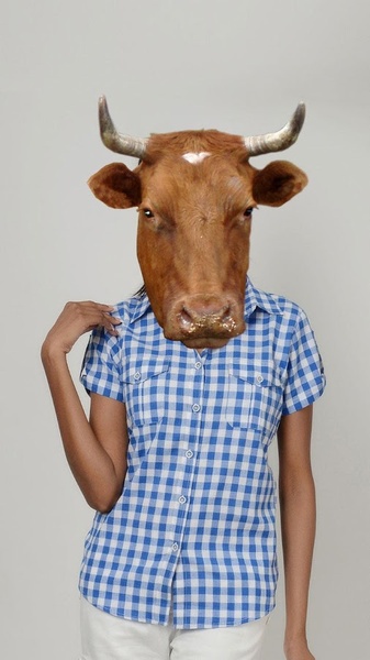 Animal Face Photo Maker - Preview 2