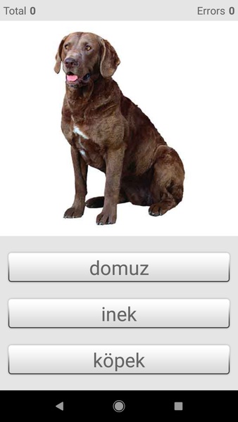 Learn Turkish words with Smart-Teacher - Preview 4