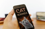 Cat Sounds screenshot 12