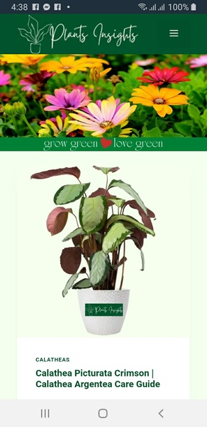 Plants Insights - Preview 2