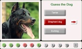 Guess the Dog: Tile Puzzles screenshot 9