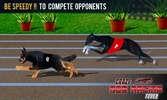 Crazy Dog Racing Fever screenshot 3