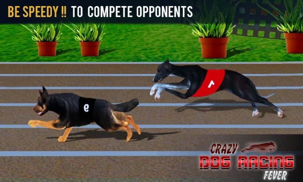 Crazy Dog Racing APK for Android Download