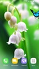 Lily of The Valley Wallpaper screenshot 8