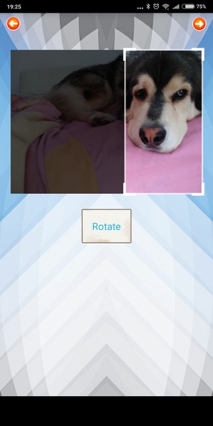 Copy Paste Photo Camera Editor - Preview 5