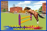 Police Horse Training 3D screenshot 3