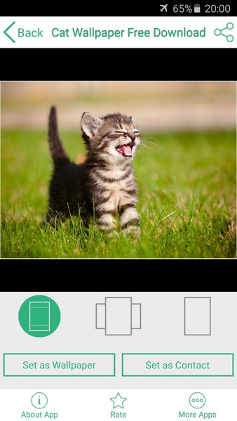 Cat and Kitten Wallpaper - Preview 1