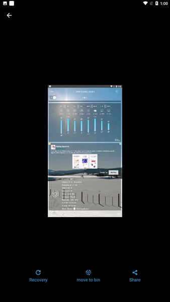 FileBin - Preview 4