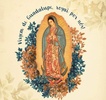 Virgen De Guadalupe Imagenes screenshot 1