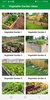 Vegetable Garden Design Ideas screenshot 8