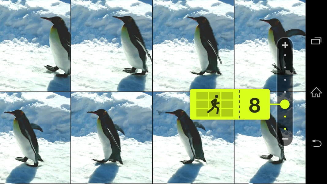 Motion Shot - Preview 6