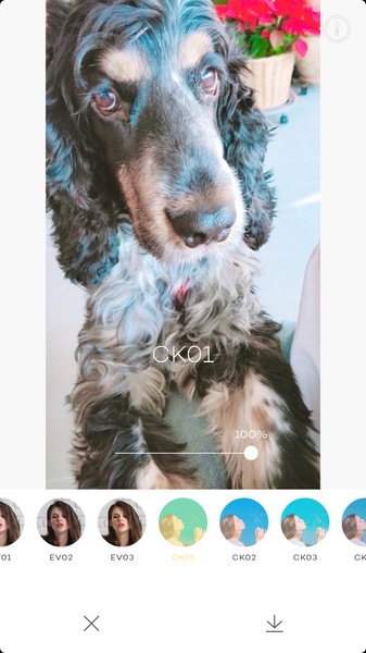 PICTAIL - Cykik - Preview 6