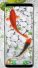 Koi Fish Live Wallpapers HD screenshot 5