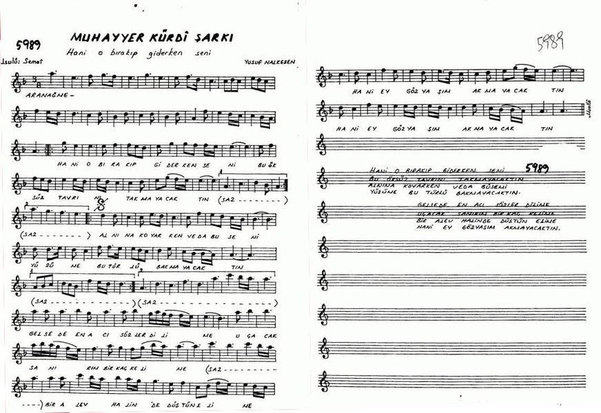 Virtual Lute - Preview 2