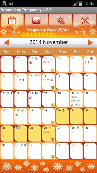 WomanLog Pregnancy Calendar - Preview 7