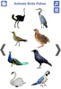 Animals Birds Fishes screenshot 4