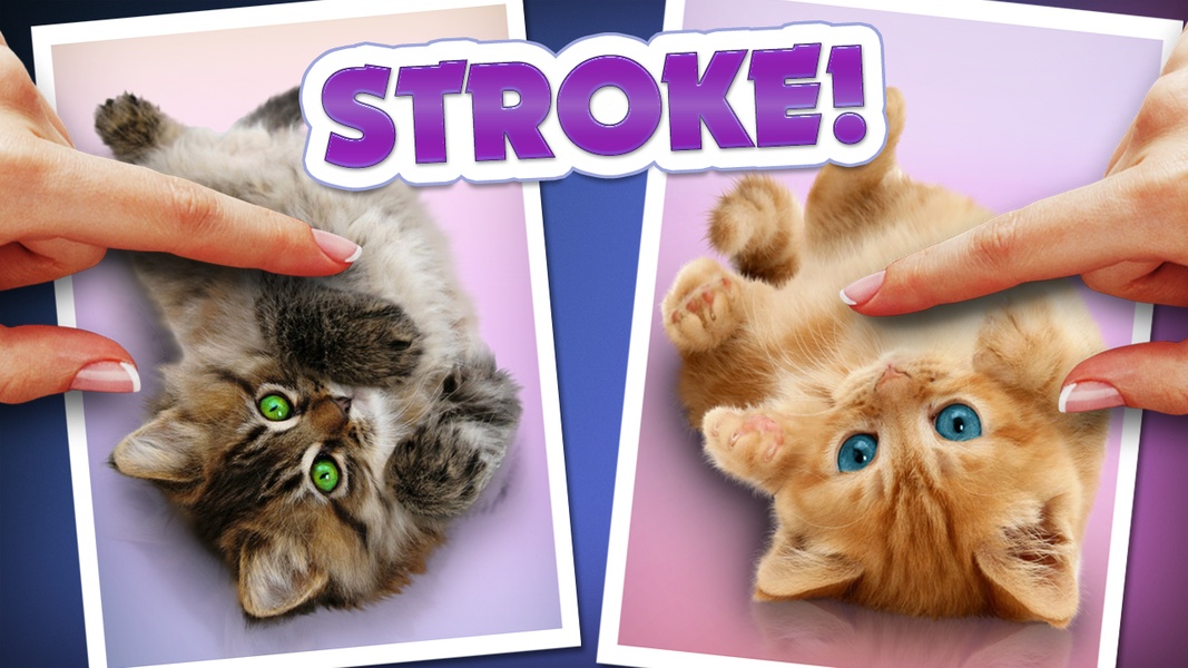 Purring Cats - Preview 8