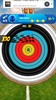 Archery Star screenshot 2