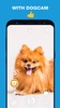 DogCam - Dog Selfie Filters an screenshot 5