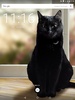 Cat Live Wallpaper screenshot 6