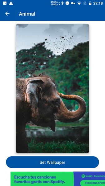 GIF For WhatsApp - Preview 3