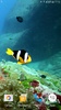 Colorful Fishes Live Wallpaper screenshot 5