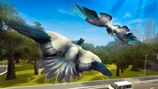 City Bird Pigeon Simulator 3D screenshot 6