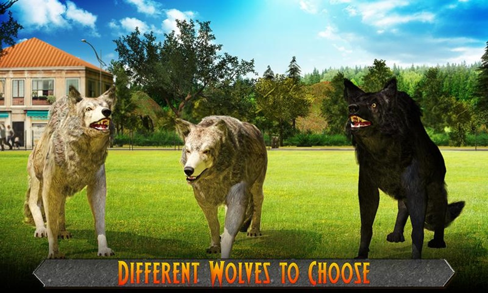 Wolf Pack Attack 2016 - Preview 13