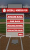 Baseball Homerun Fun screenshot 8