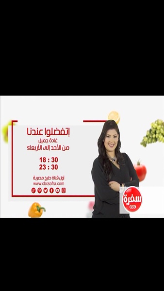 ARAB TV HD - Preview 1