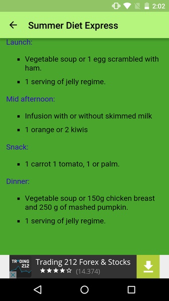 Summer Diet Express - Preview 2