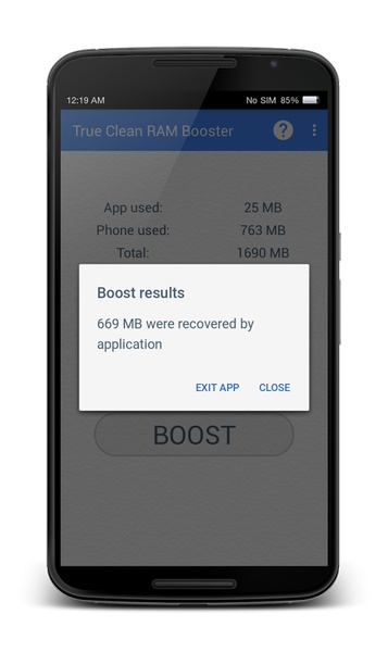 True RAM Booster - Preview 2