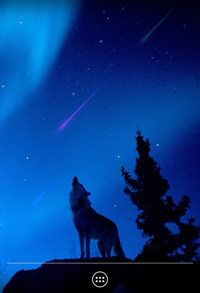 Wolf - Preview 4