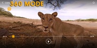 MXVR screenshot 6