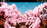 Sakura's Bridge Live Wallpaper screenshot 5