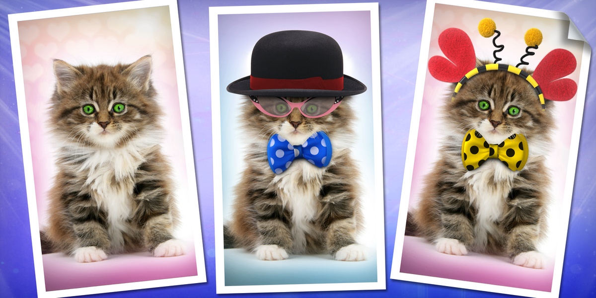 Purring Cats - Preview 2